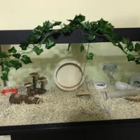 Teca / gabbia  elegantissima  per criceto