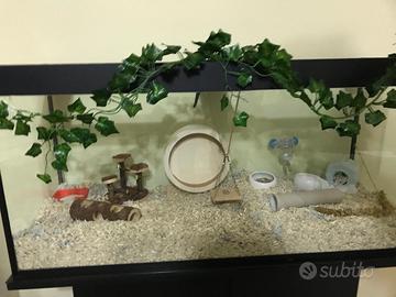 Teca / gabbia  elegantissima  per criceto