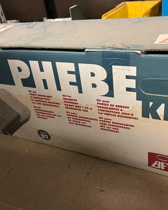 Kit motore phebe bft cancello basculante