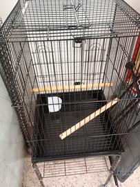 gabbia per pappagalli 