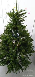 Albero di Natale