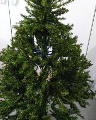 Albero di Natale