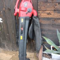 soffiatore /aspiratore foglie