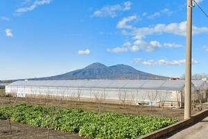Terreno a pochi passi da zona industriale