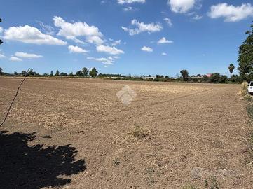 TER. AGRICOLO A GIUGLIANO IN CAMPANIA