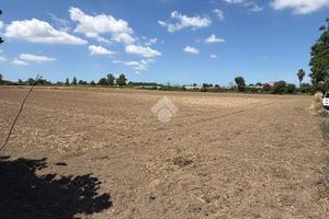 TER. AGRICOLO A GIUGLIANO IN CAMPANIA