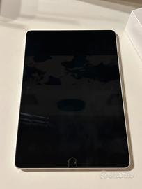 iPad 9ª Generazione - 256 GB