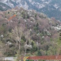 Case e rustici nel verde