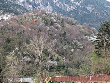 Case e rustici nel verde