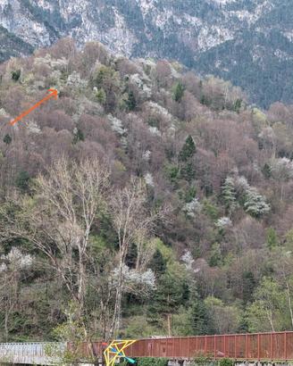 Case e rustici nel verde