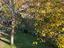 Immagine 11