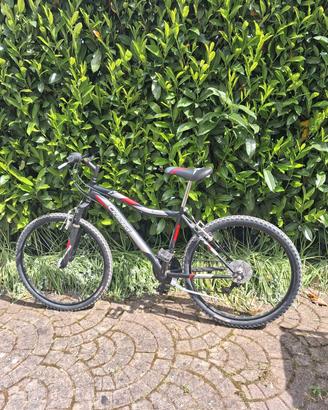 MTB 26 pollici