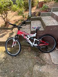 Bicicletta da bambino