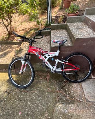Bicicletta da bambino