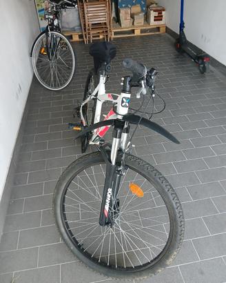 bicicletta 