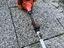 Immagine 1