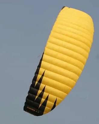 Kitesurt PANSH Aurora 2  22 mt+Barra Peter Lynn