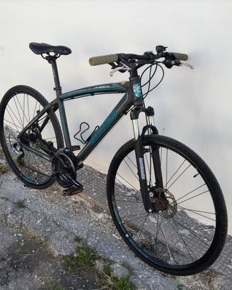Lombardo Amantea 200 disk alloy