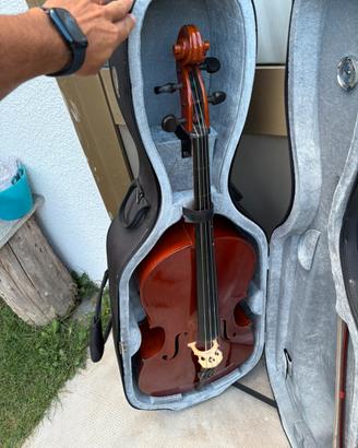 Violoncello