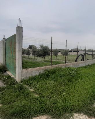 pitz'e Serra terreno recintato 