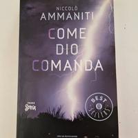 Libro Come Dio comanda di Ammaniti 