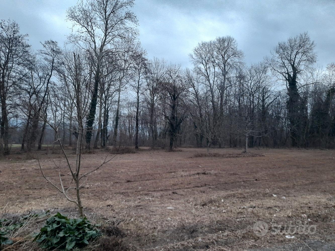 terreno agricolo - Vista 3
