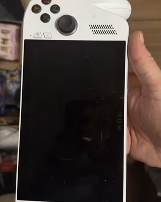 Msi rogue ally