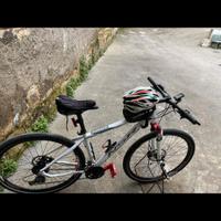 Bici 29