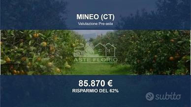Immobile in asta di 66922 m² a Mineo