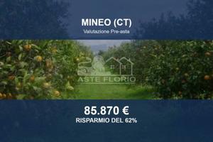Immobile in asta di 66922 m² a Mineo