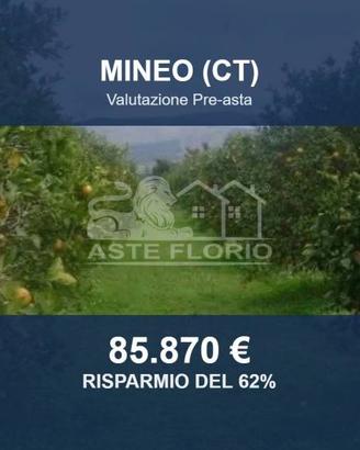Immobile in asta di 66922 m² a Mineo