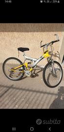 Mountain bike