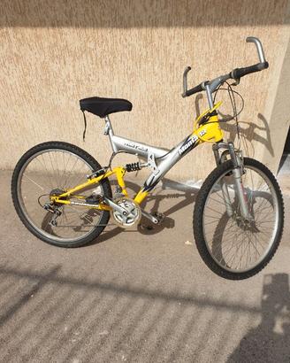 Mountain bike