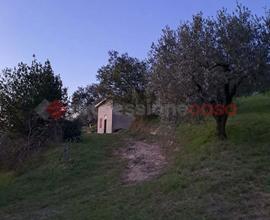 Terreno Agricolo Anagni [Cod. rif 3190778VRG]