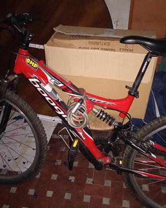 Mountain bike