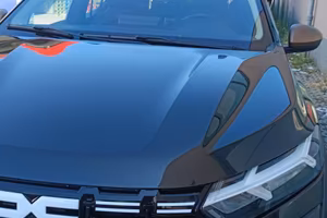 Dacia Sandro Stephanie gpl