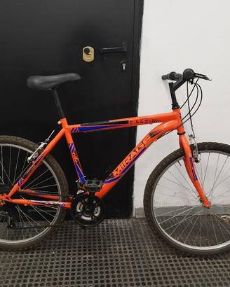 bicicletta