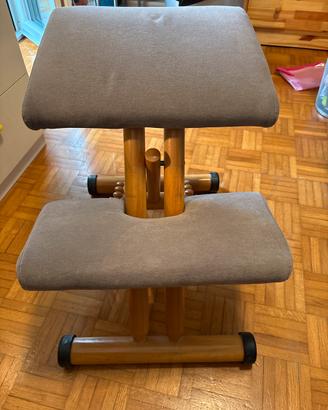 Sedia ergonomica
