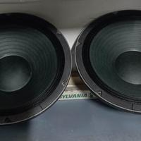 Coppia altoparlanti subwoofer