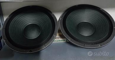Coppia altoparlanti subwoofer