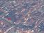 Immagine 15