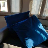 cuscini 80x80 con federa in cotone