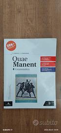 Quae Manent grammatica Latino