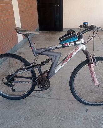 Biciclette 
