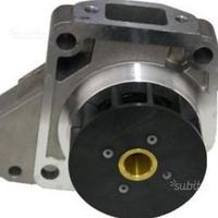 Pompa acqua lombardini502 chatenet ligier microcar