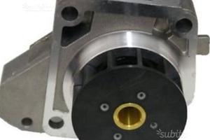 Pompa acqua lombardini502 chatenet ligier microcar