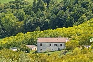 Fondo rustico con casale