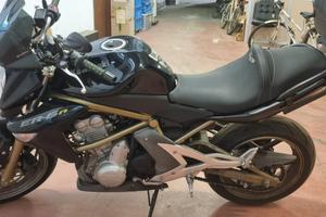 Kawasaki ER-6N