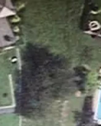 Terreno edificabile 1000 mq