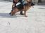 Immagine 1